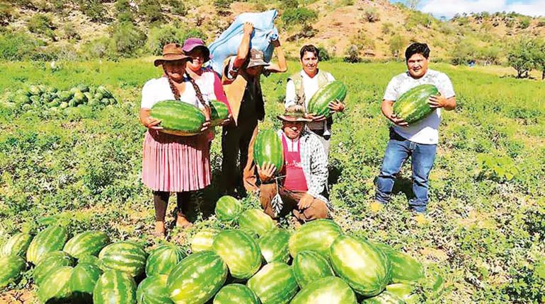 Cochabamba estrena el viaducto más grande del país